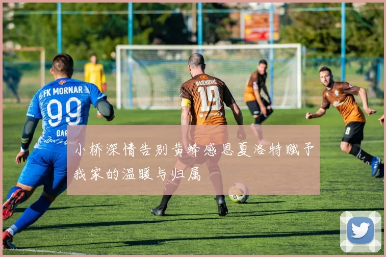 小桥深情告别黄蜂感恩夏洛特赋予我家的温暖与归属