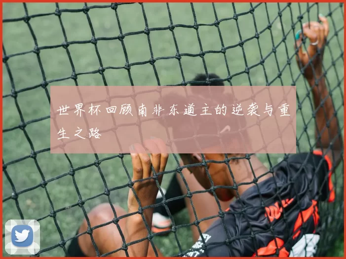 世界杯回顾南非东道主的逆袭与重生之路